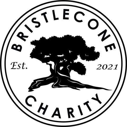Bristlecone Charity logo